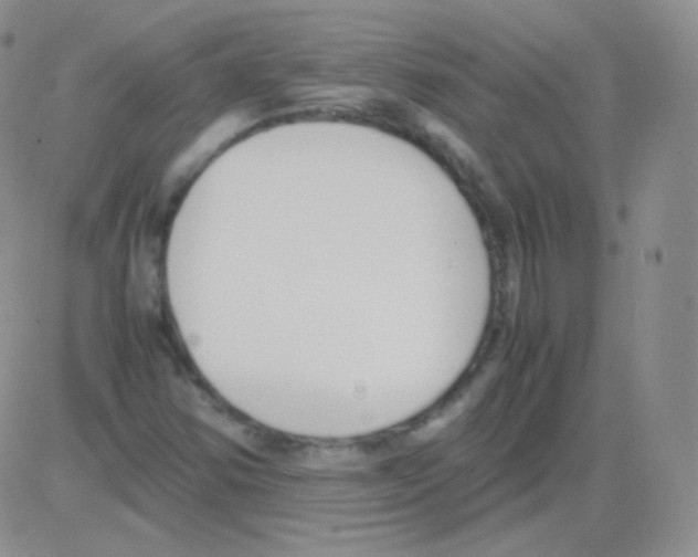 X0000082701354200702232219