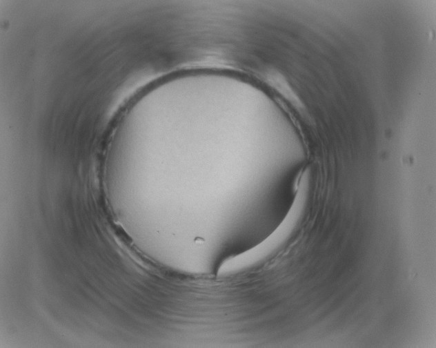 X0000082701356200702232219