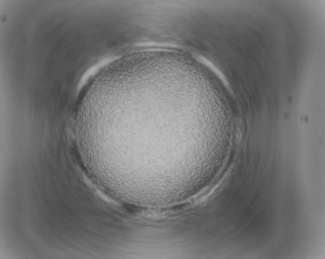 X0000082701357200702232219