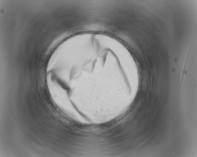 X0000082701358200702232219