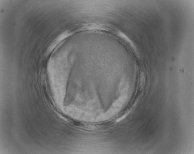 X0000082701361200702232219