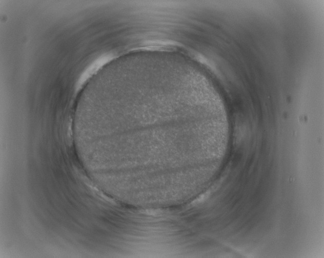 X0000082701362200702232219