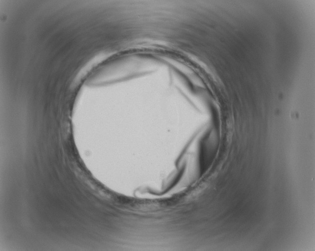 X0000082701363200702232219