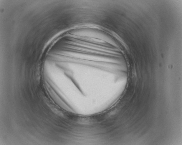 X0000082701364200702232219