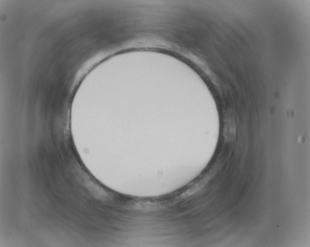 X0000082701366200702232219