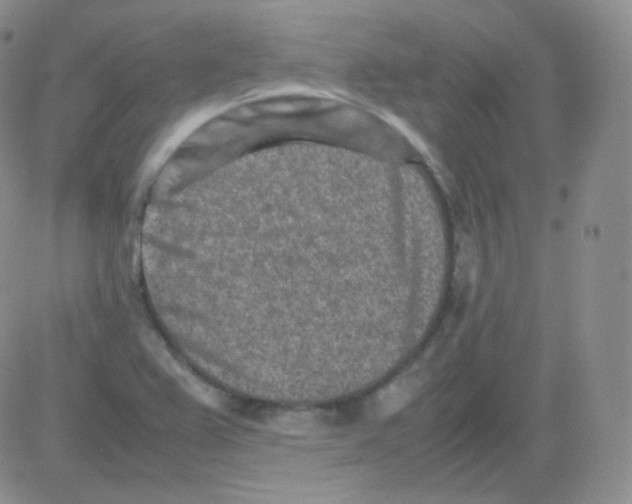 X0000082701367200702232219