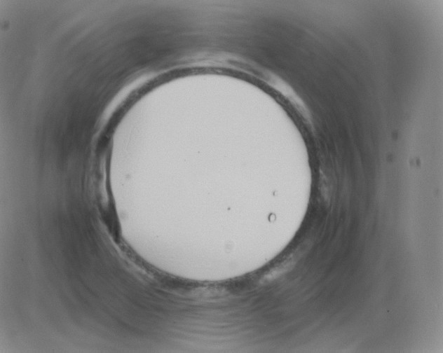 X0000082701368200702232219