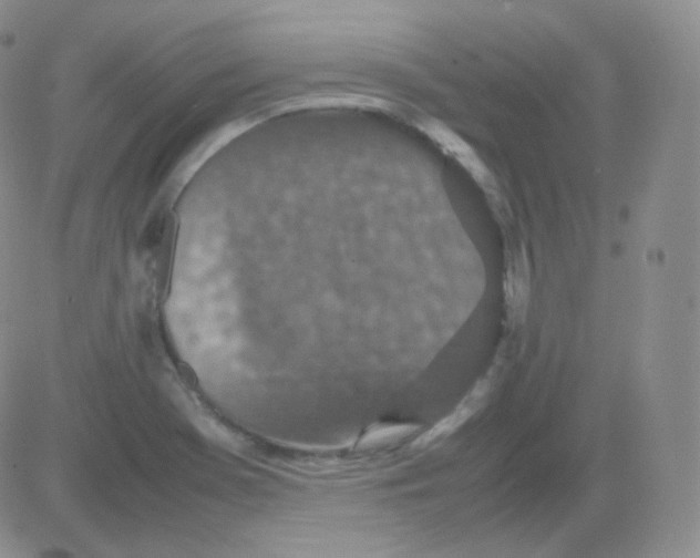 X0000082701369200702232219