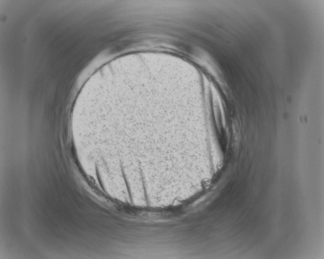 X0000082701371200702232219