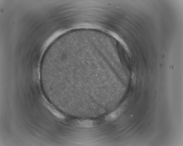 X0000082701372200702232219