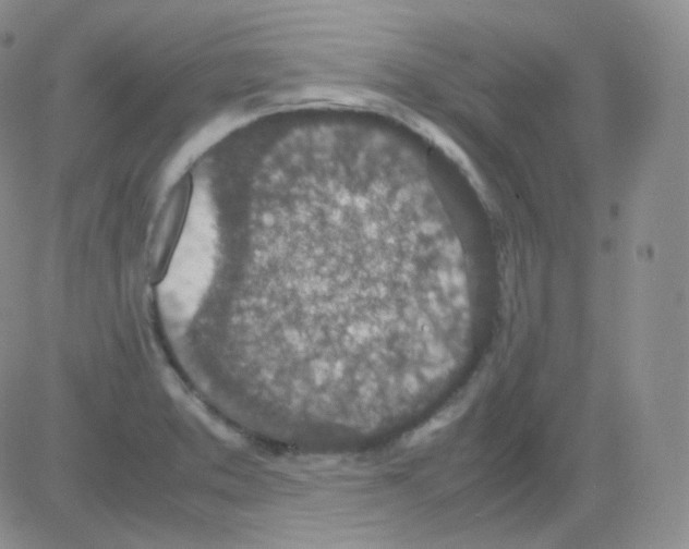 X0000082701373200702232219