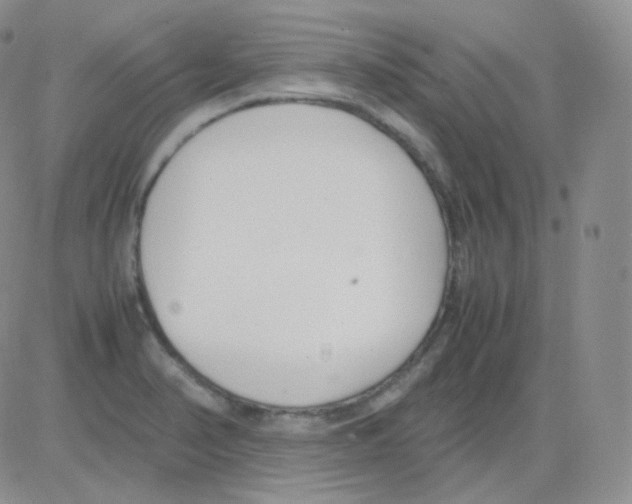 X0000082701374200702232219