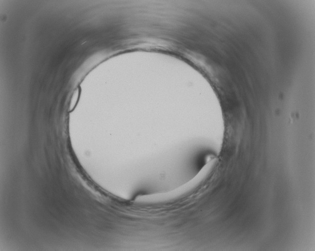 X0000082701375200702232219