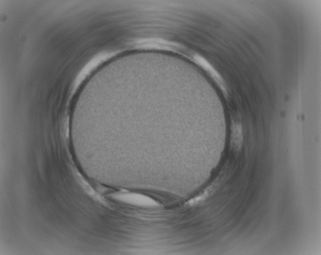 X0000082701376200702232219