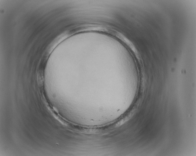 X0000082701377200702232219