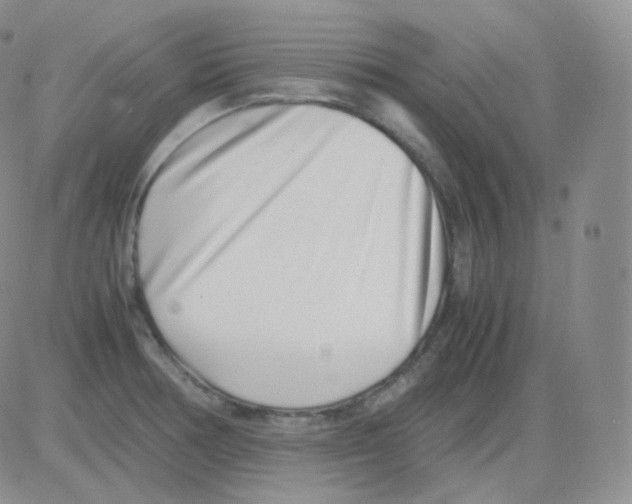 X0000082701378200702232219