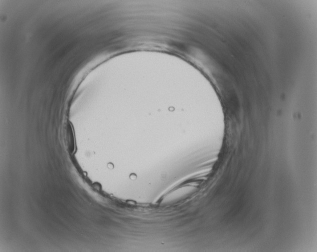 X0000082701379200702232219