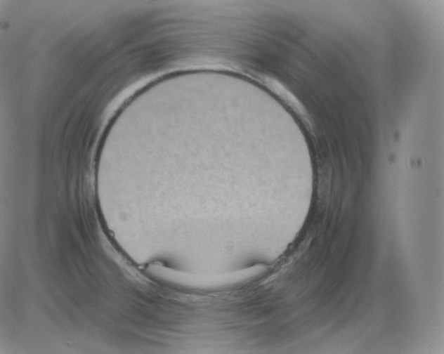 X0000082701380200702232219