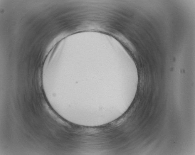 X0000082701382200702232219