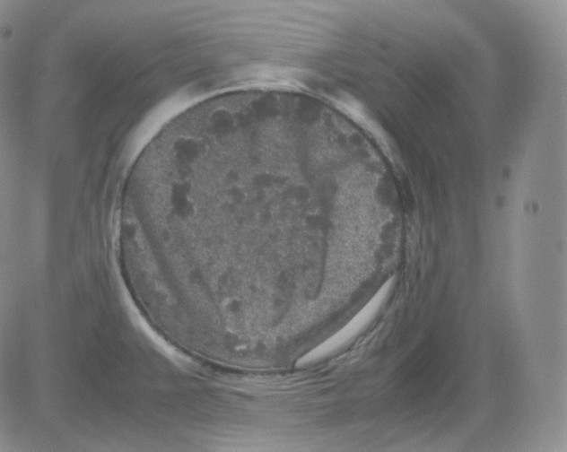 X0000082701383200702232219