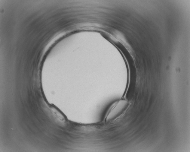 X0000082701384200702232219