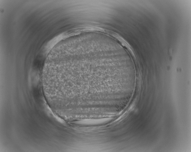 X0000082701385200702232219