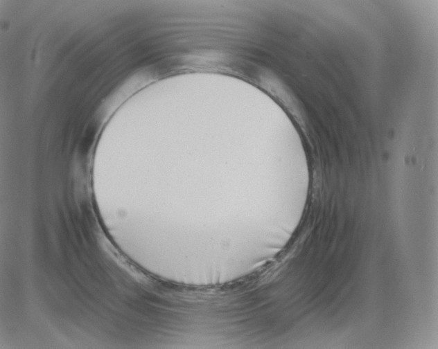 X0000082701386200702232219