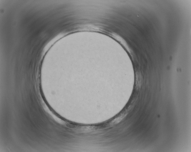 X0000082701387200702232219