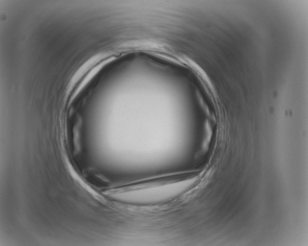 X0000082701389200702232219