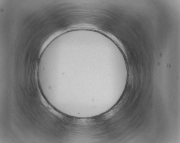 X0000082701390200702232219