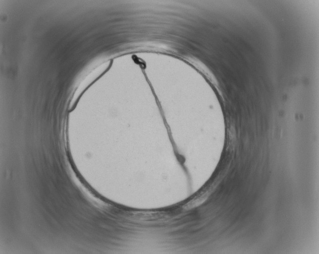 X0000082701391200702232219