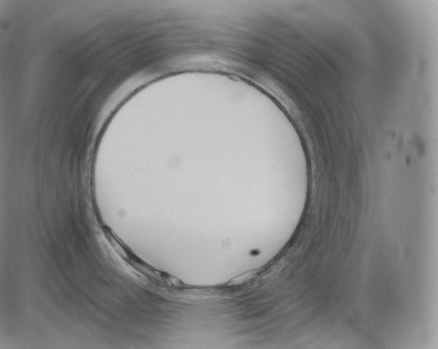 X0000082701392200702232219