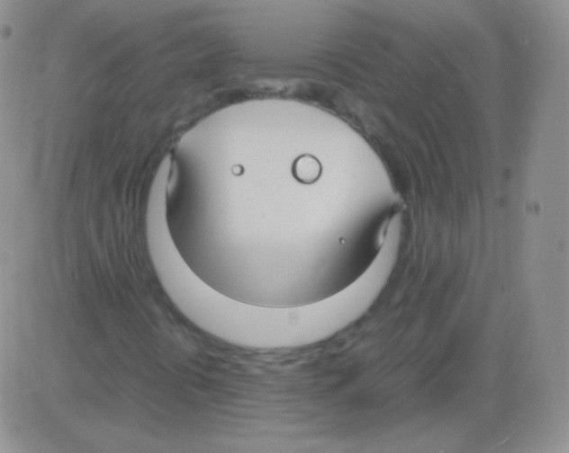 X0000082701394200702232218