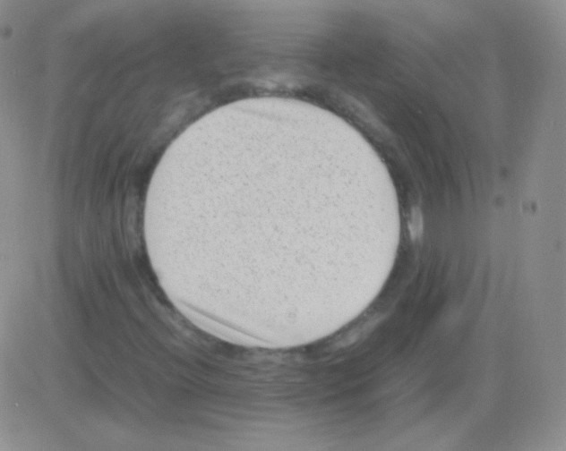 X0000082701396200702232218