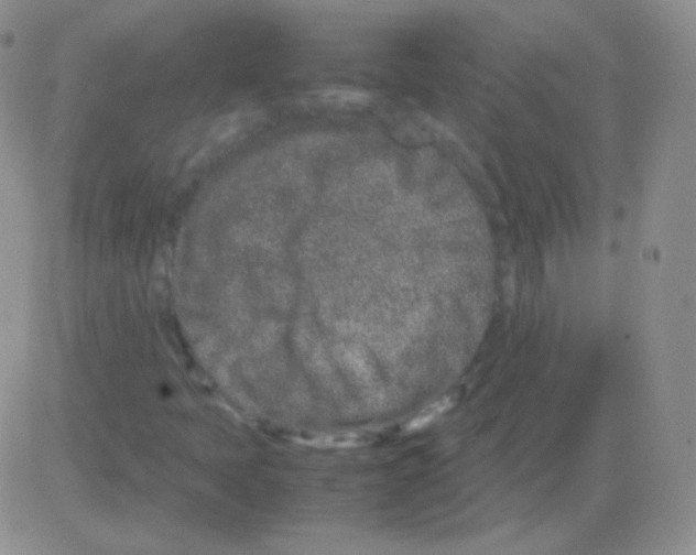 X0000082701397200702232218