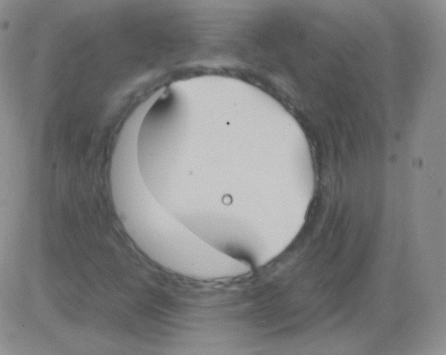 X0000082701398200702232218