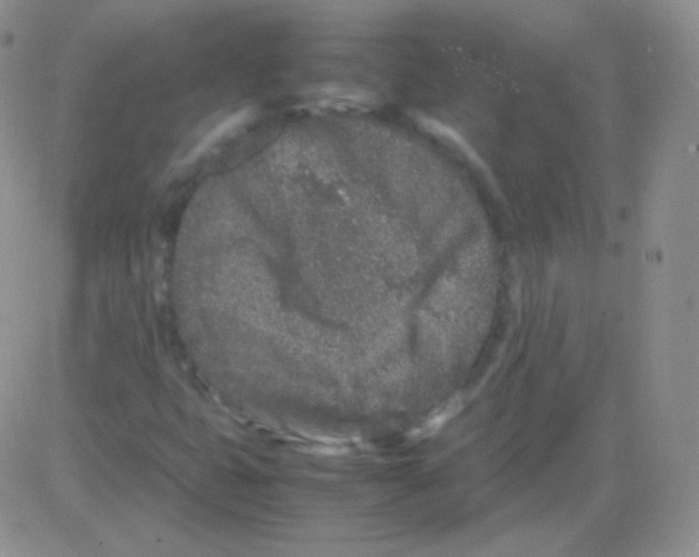 X0000082701399200702232218