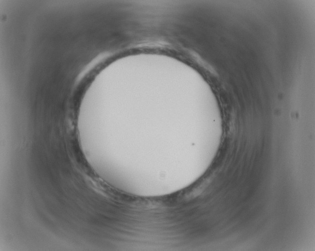 X0000082701400200702232218