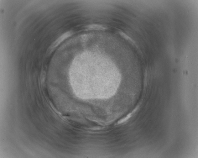 X0000082701401200702232218