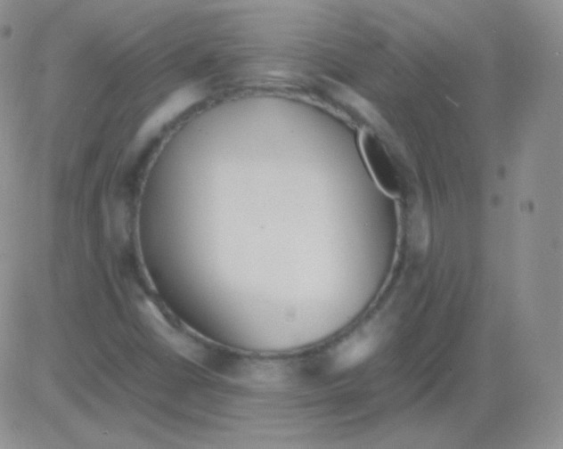 X0000082701402200702232218