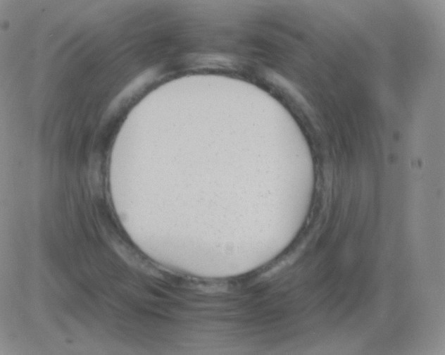 X0000082701403200702232218