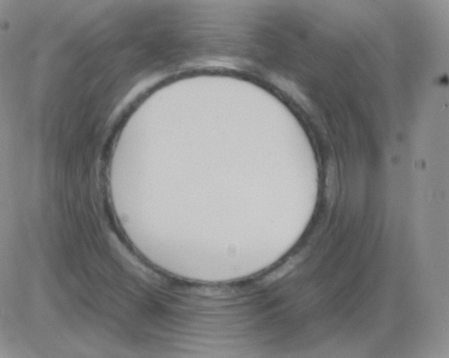 X0000082701404200702232218