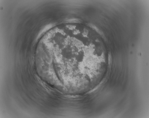 X0000082701405200702232218