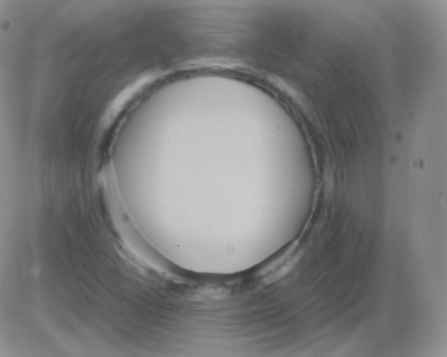 X0000082701406200702232218