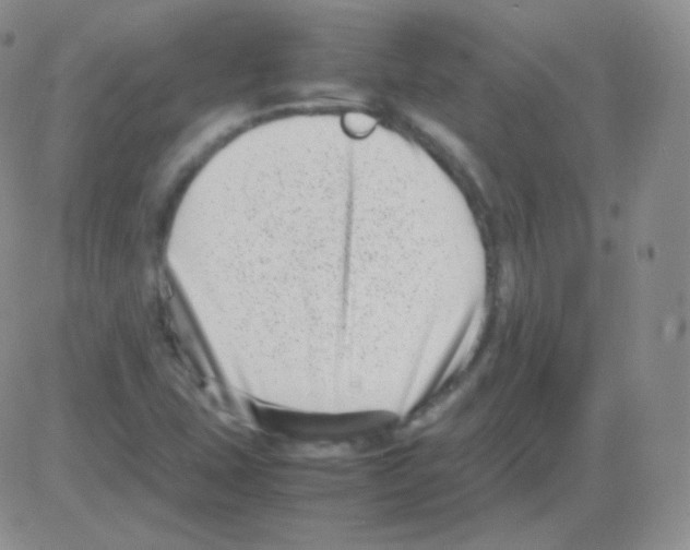 X0000082701407200702232218