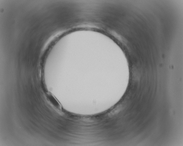 X0000082701408200702232218