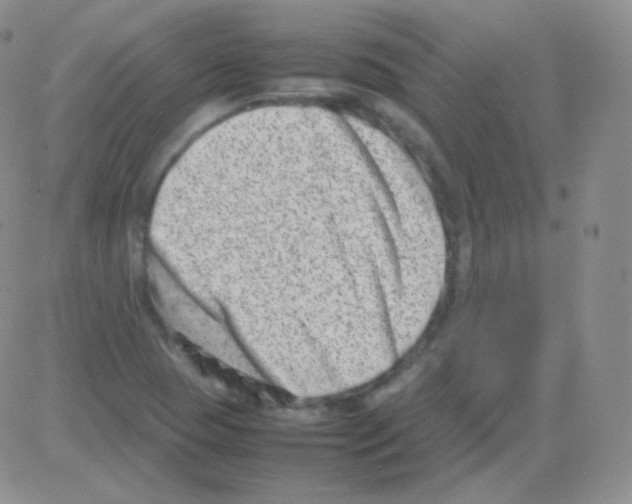 X0000082701409200702232218