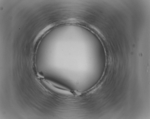 X0000082701410200702232218