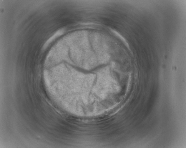 X0000082701411200702232218