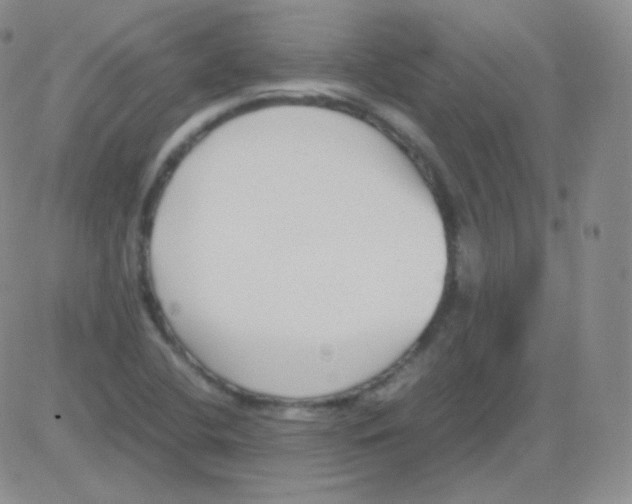 X0000082701412200702232218